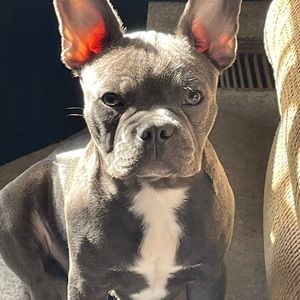 👋 I’m Ashley, I am Selling from my Mothers Estate. Enjoy!